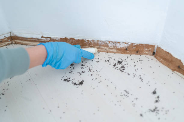 Best Pest Prevention Services  in Hemlock Farms, PA